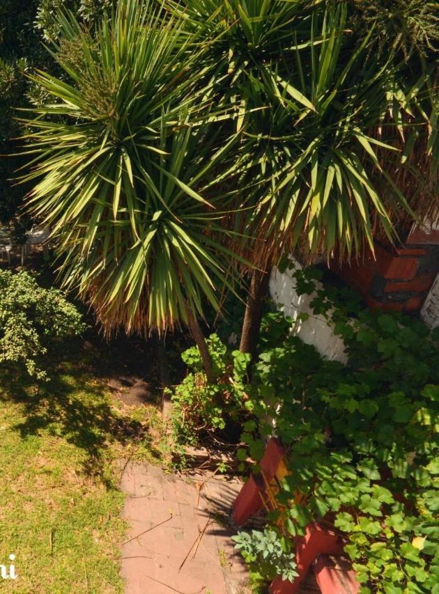 Hostel Kumi Capilla del Monte Zewnętrze zdjęcie